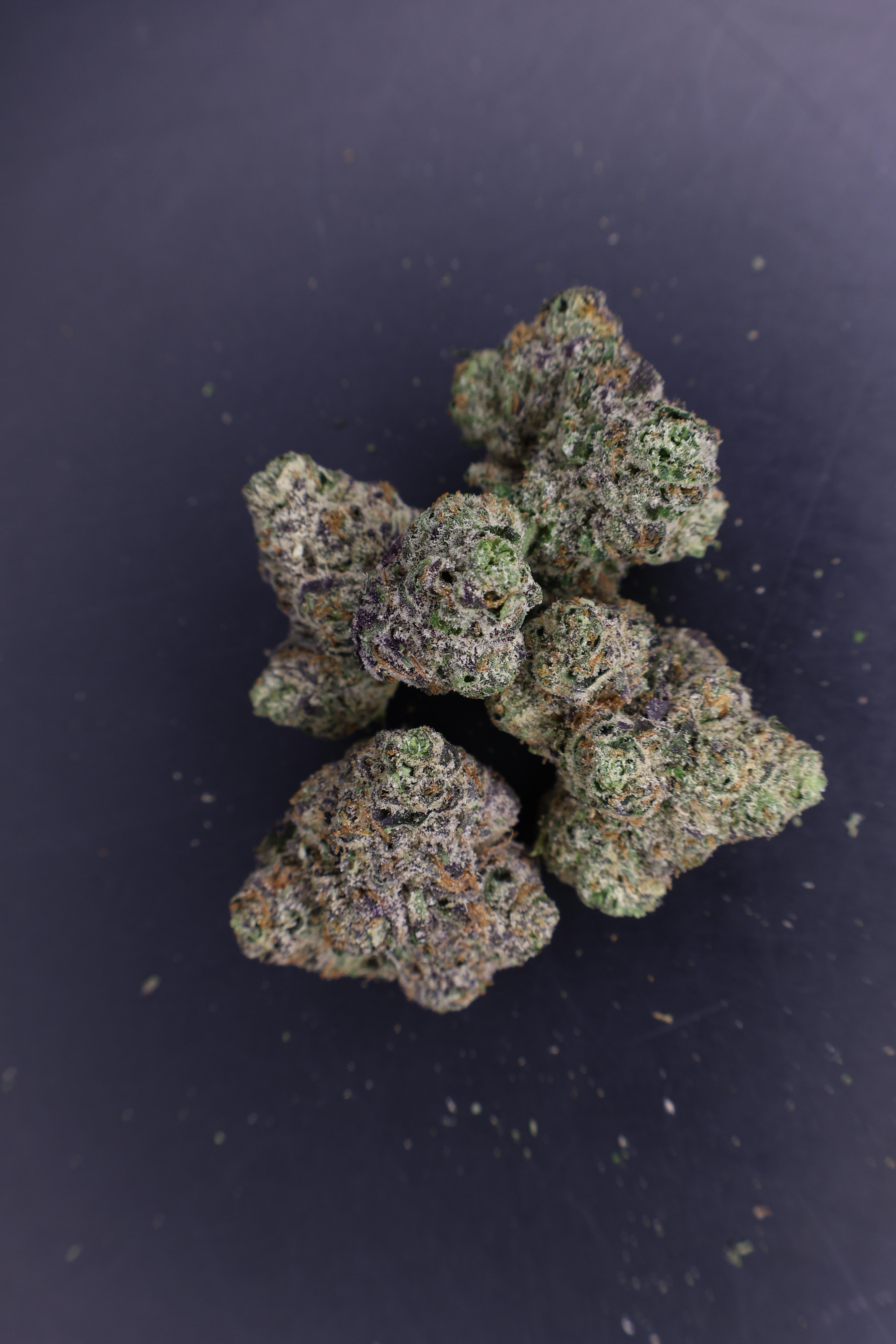 Photograph of product: Midzotics | Candy Kush | Deli-Style Flower - 14g