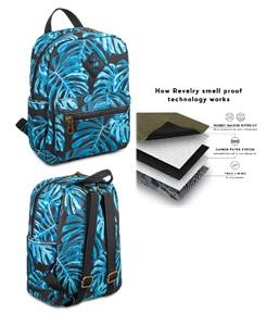 Photograph of product: Revelry | The Shorty Backpack- Monsetra $60