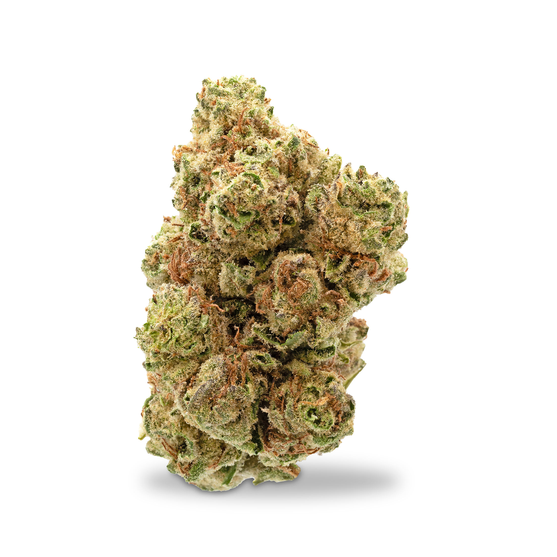 Photograph of product: Grown Rogue - Mimosa - 1g