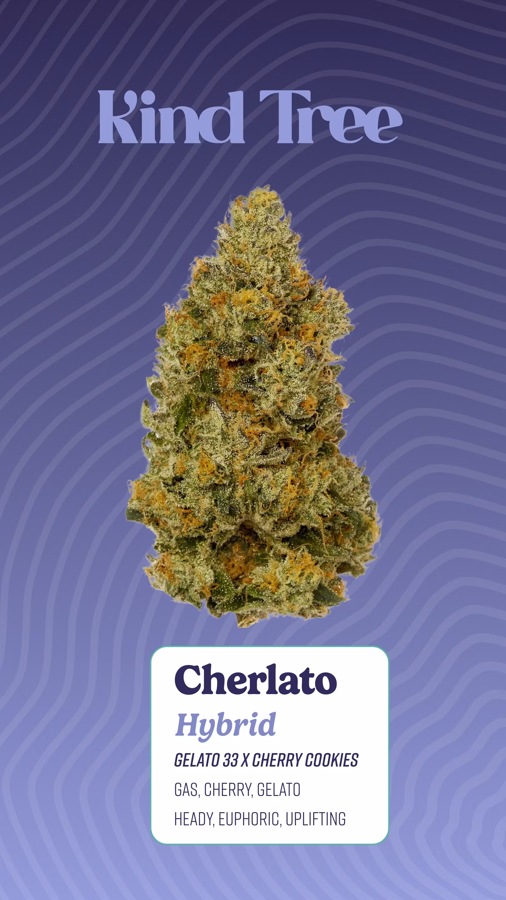 Photograph of product: Legend | Strawberry OG | Pre Rolls | 7pk/7g