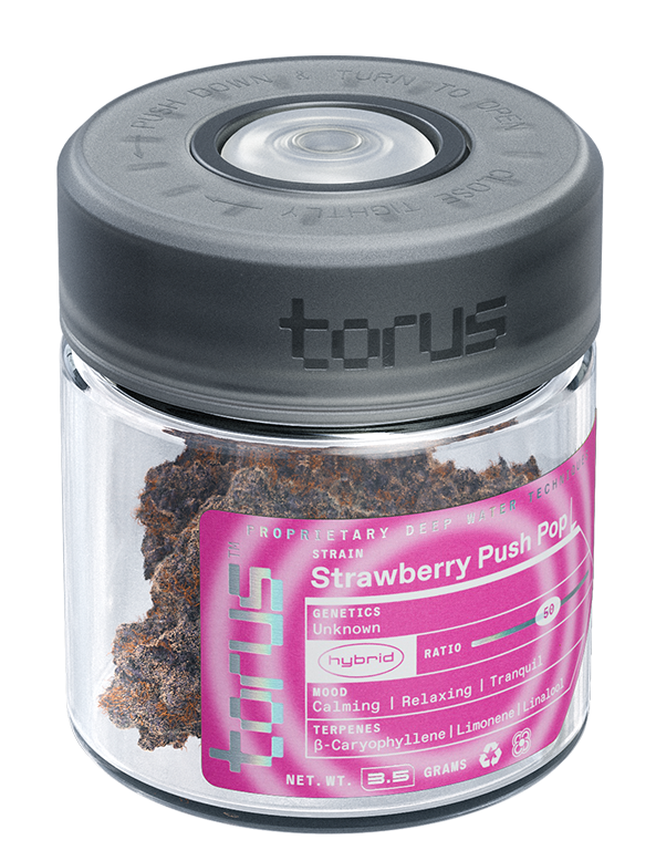 Photograph of product: Torus: Strawberry Push Pop (H) - 28g