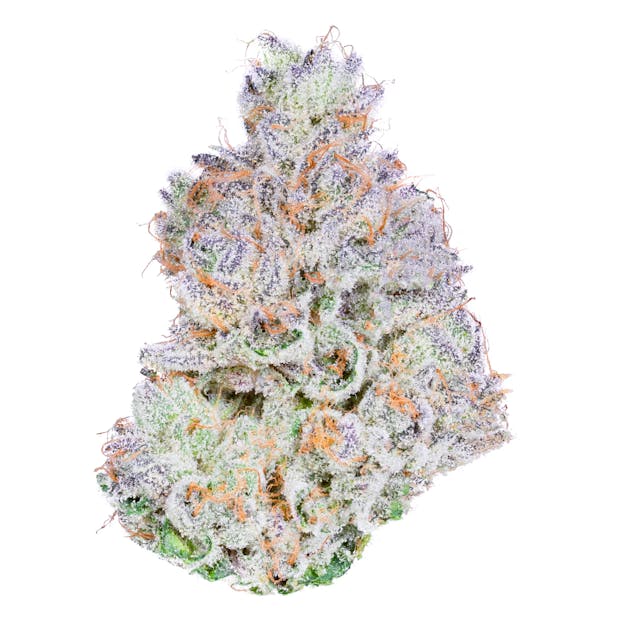 Photograph of product: Zangria 14g - 