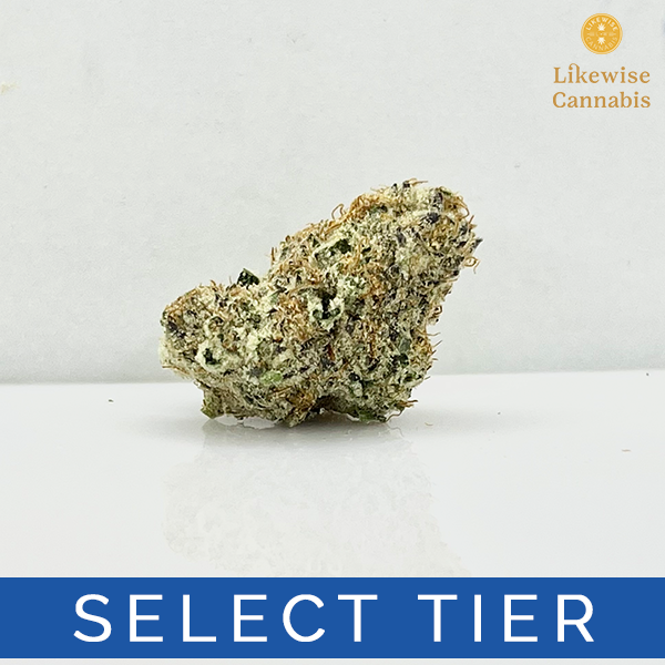 Photograph of product: TROPAHOE - 3.5g