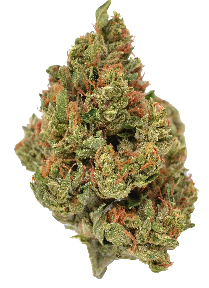 Photograph of product: Sierra Sungrown Nice Day Farms | Sour Diesel | 14G