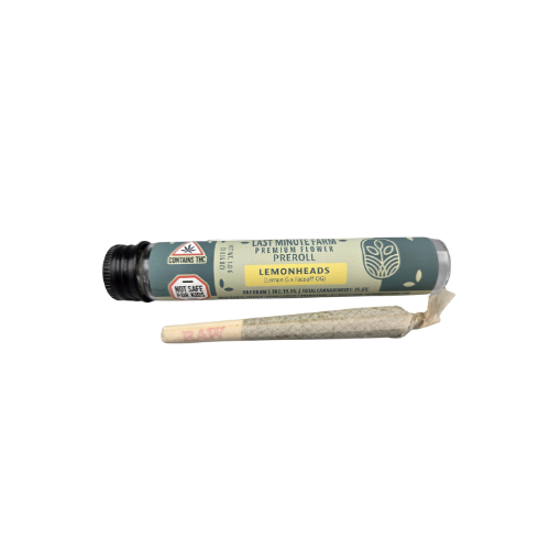 Photograph of product: Lemon Heads | Pre-Roll | 1g