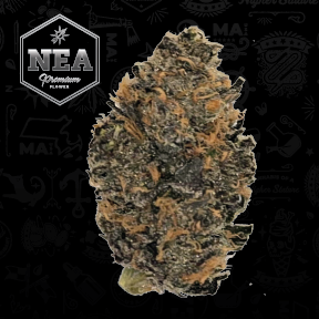 Photograph of product: Tongue Splasher #1 3.5g (S)