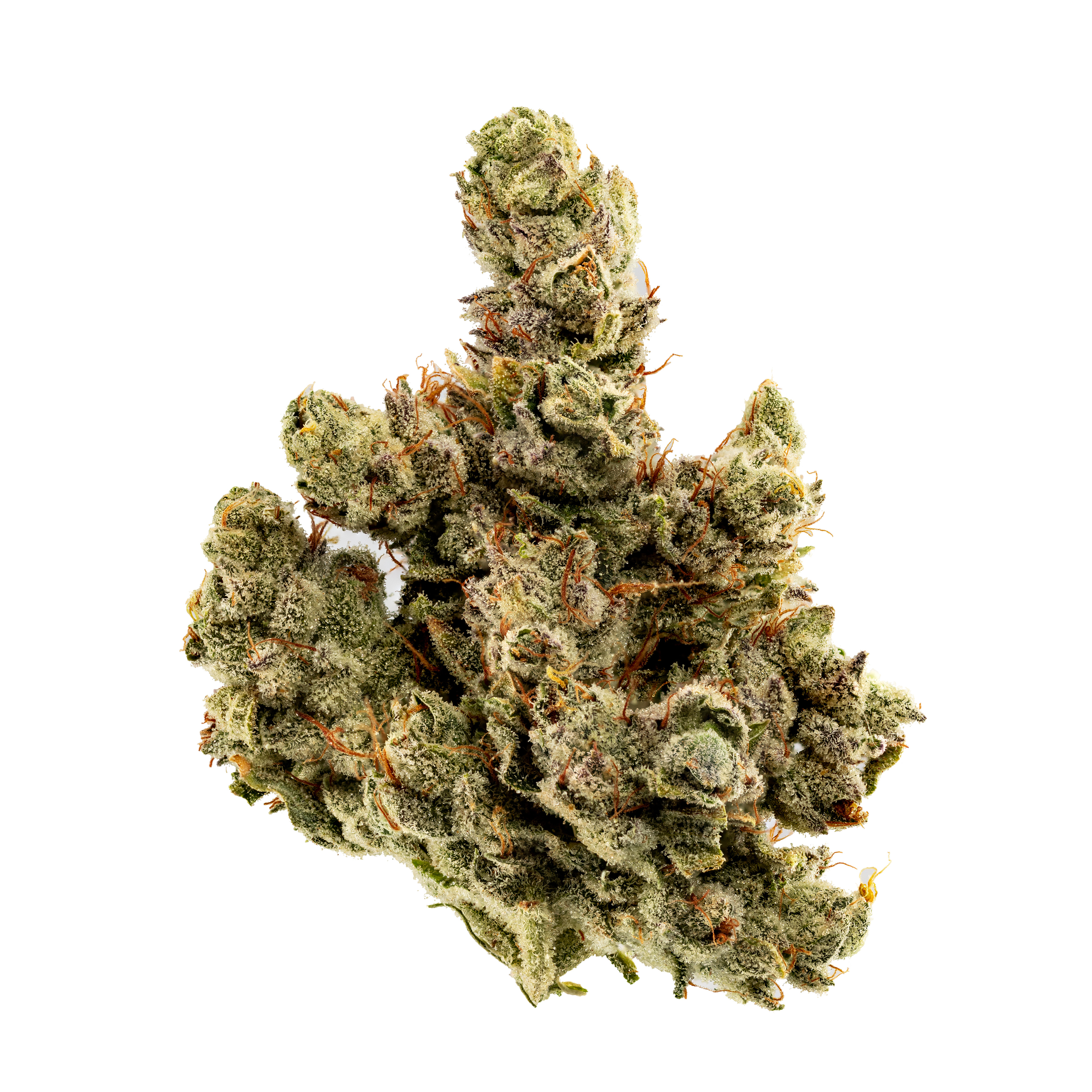 Photograph of product: GG4 - 3.5g