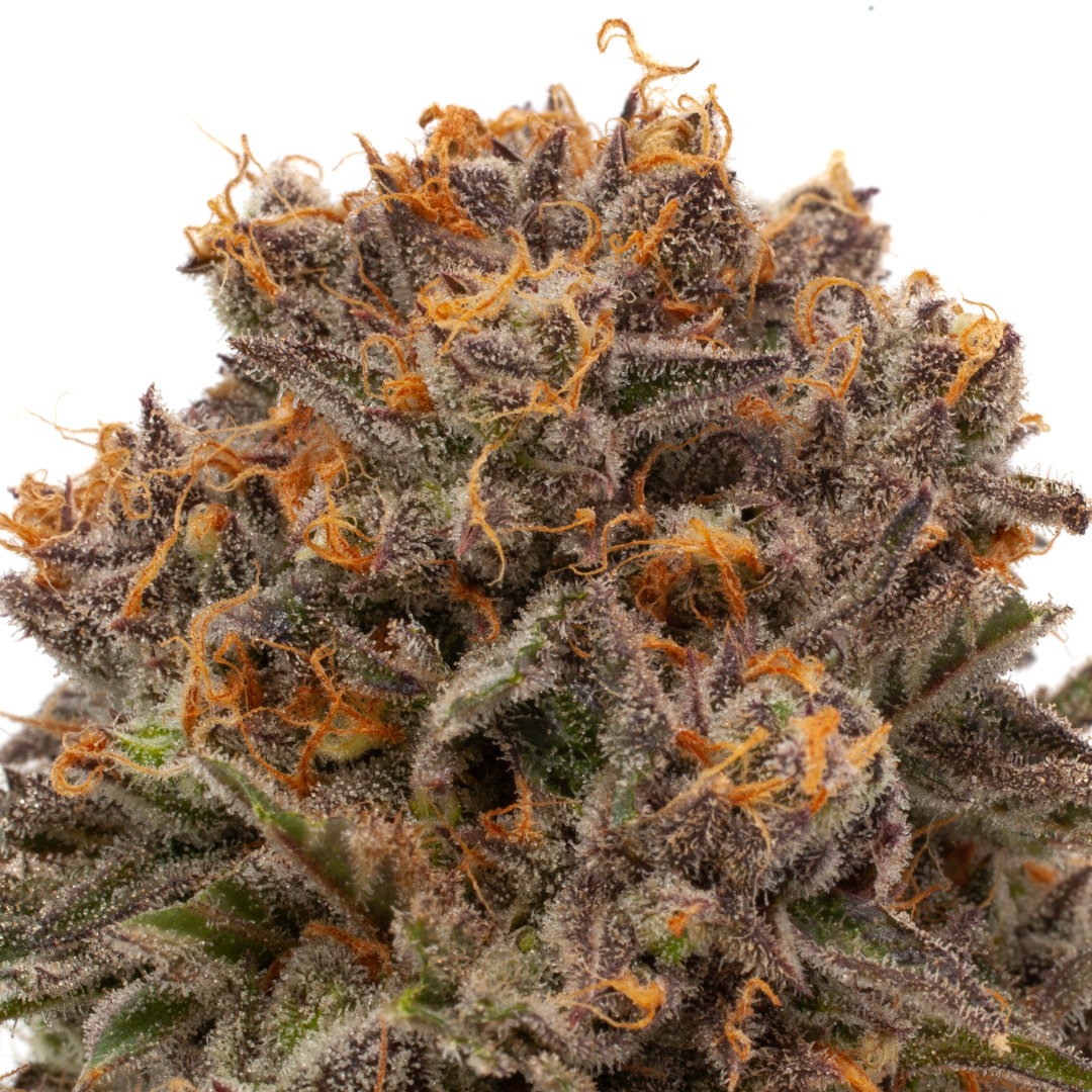 Photograph of product: Grandaddy Purp - 3.5g