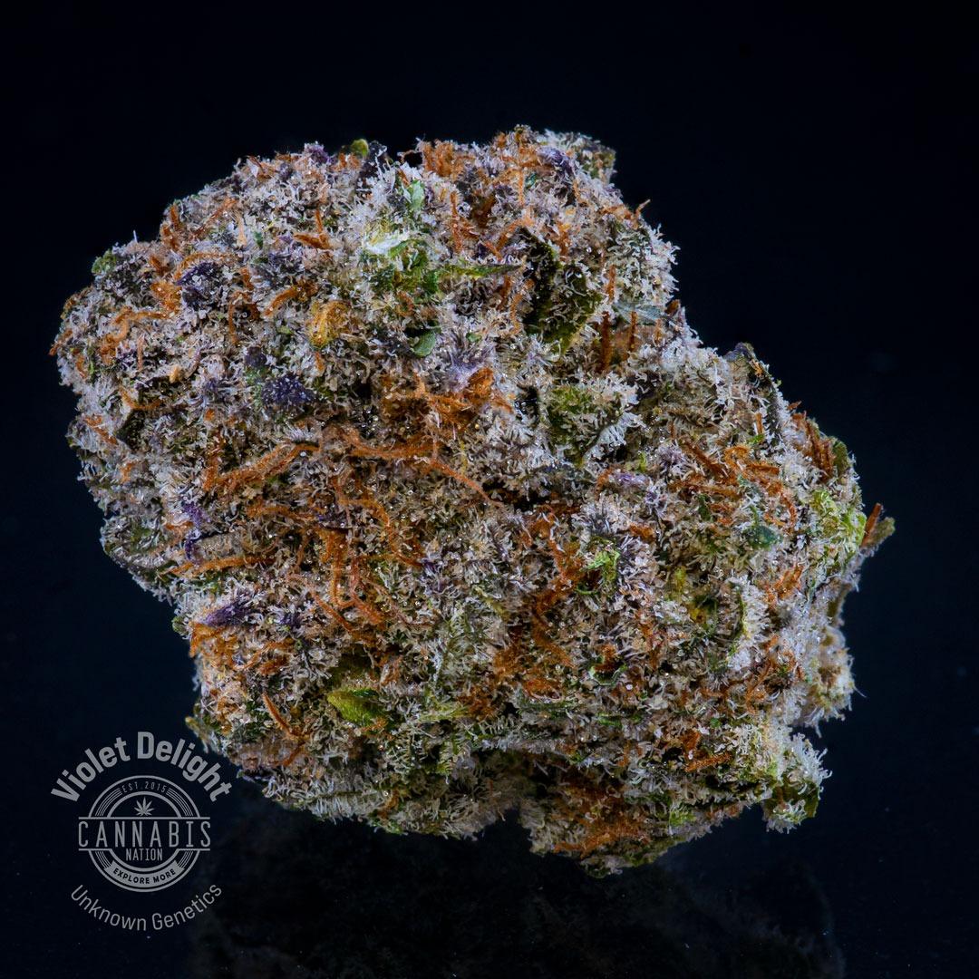 Photograph of product: Flower | Violets Delight - 28g