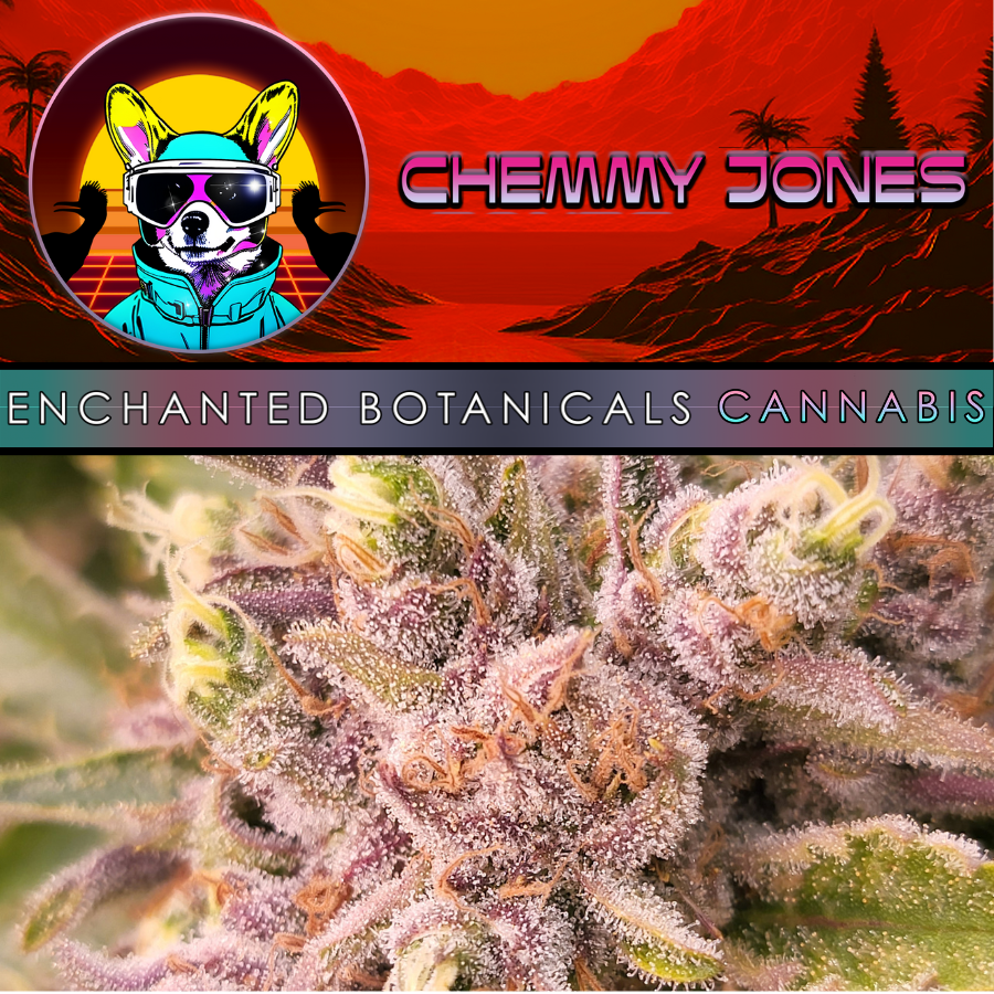 Photograph of product: Flower - Sour Hype - Oui'd - 28g