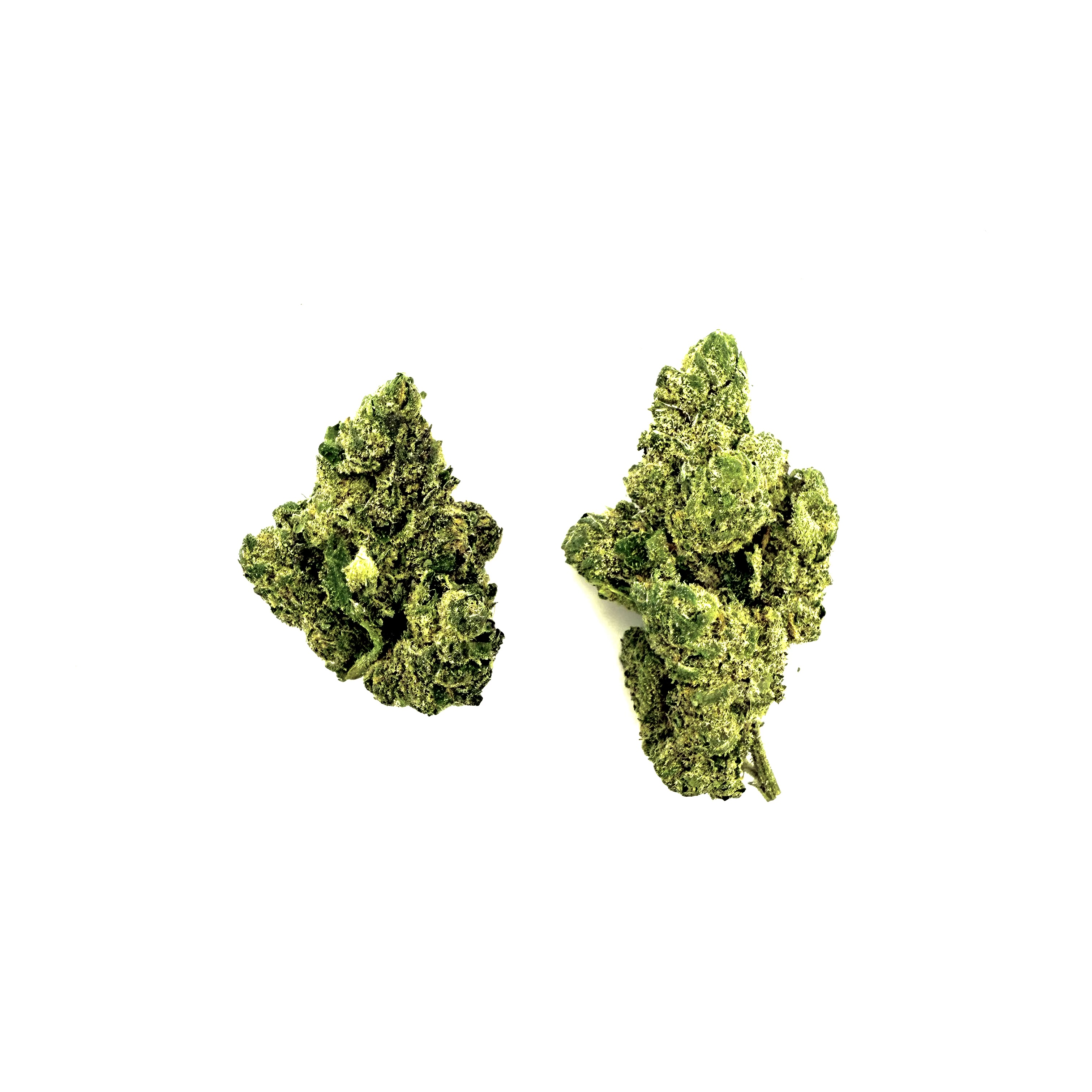 Photograph of product: Buds | Blue Zushi - 28g