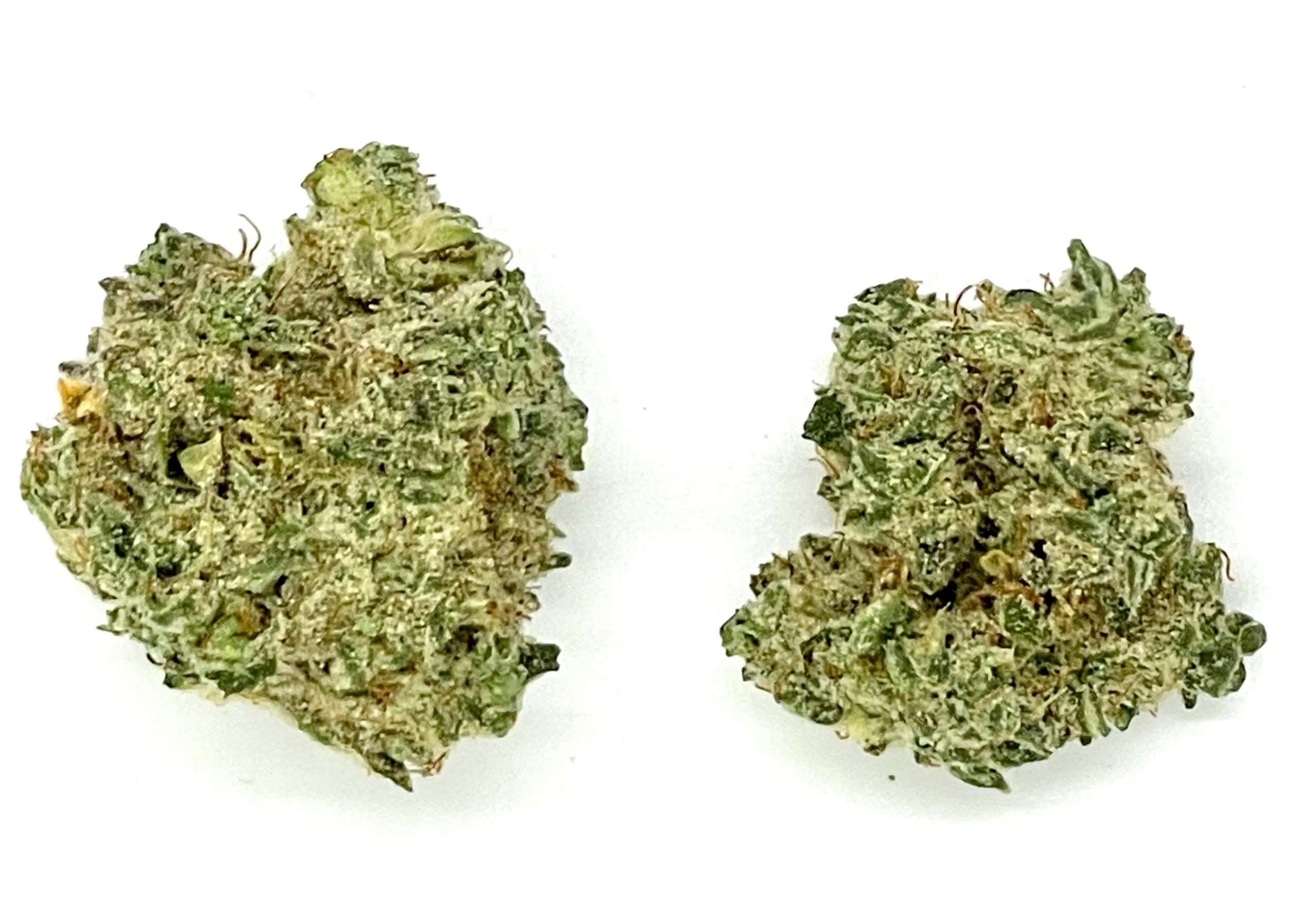 Photograph of Product: Buds | Rainbow Mintz - 1g