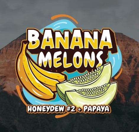 Photograph of product: Banana Melons Rosin Drops - 500mg - Treeworks