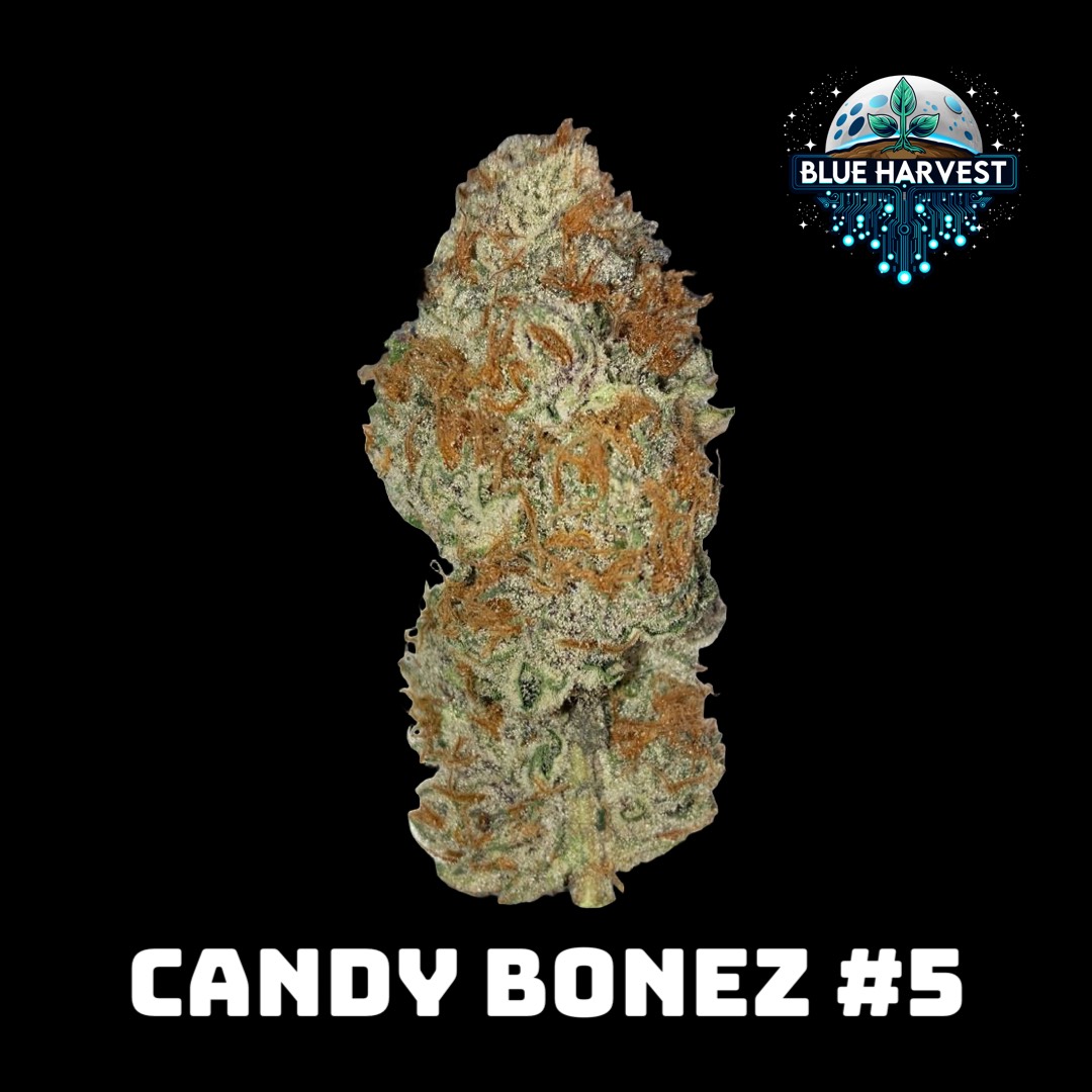 Photograph of product: Candy Bonez 3.5g-I
