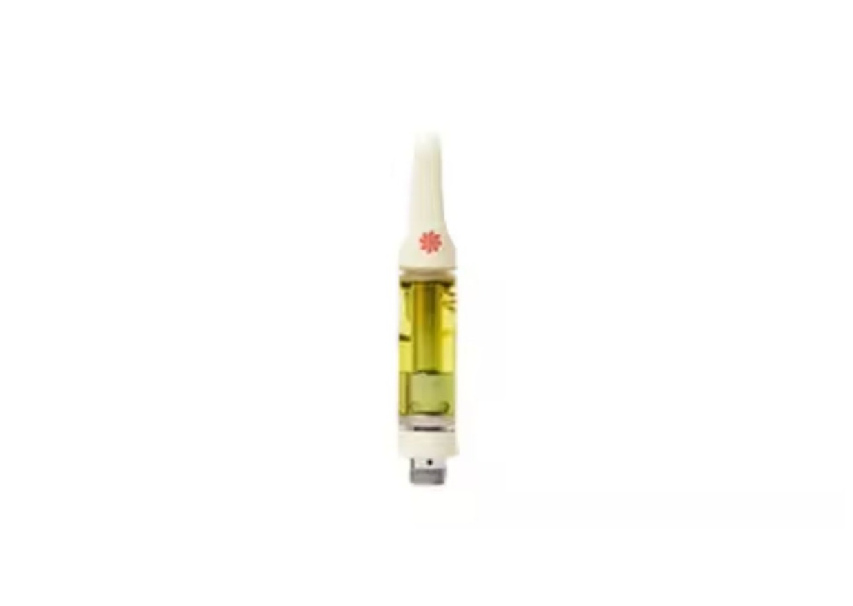 Photograph of product: Bloom LR Space Face 1g