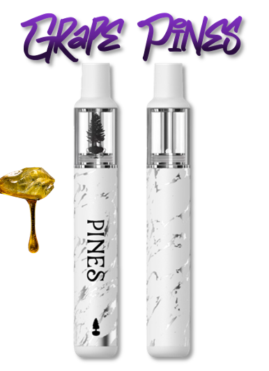 Photograph of product: Blue Dream | Live Resin | Disposable