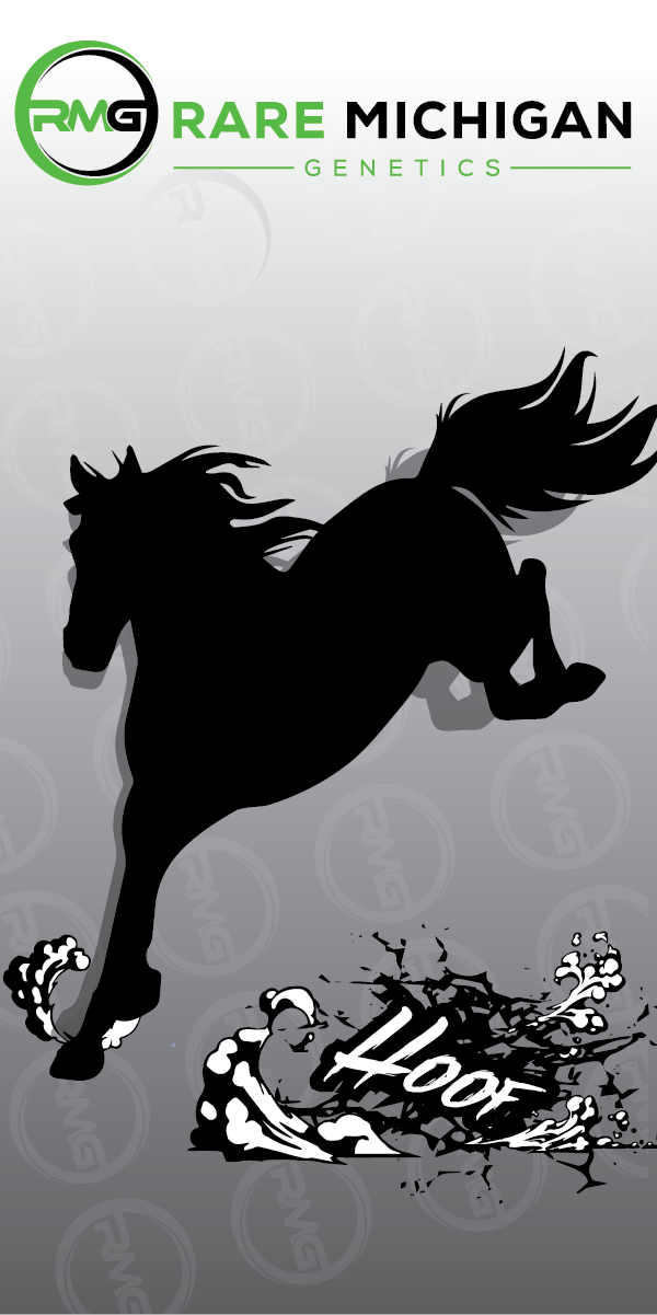 Photograph of product: Hoof | Rare Michigan Genetics - 28g