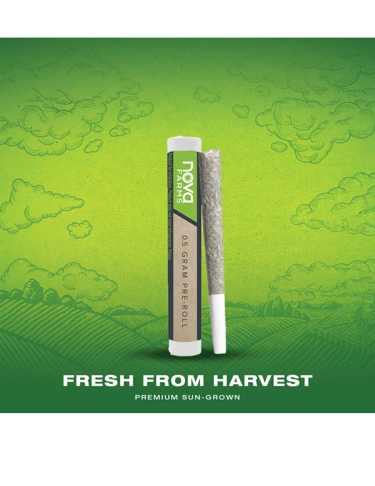 Photograph of product: Nova Farms - Black Cherry Runtz - PreRoll Cone