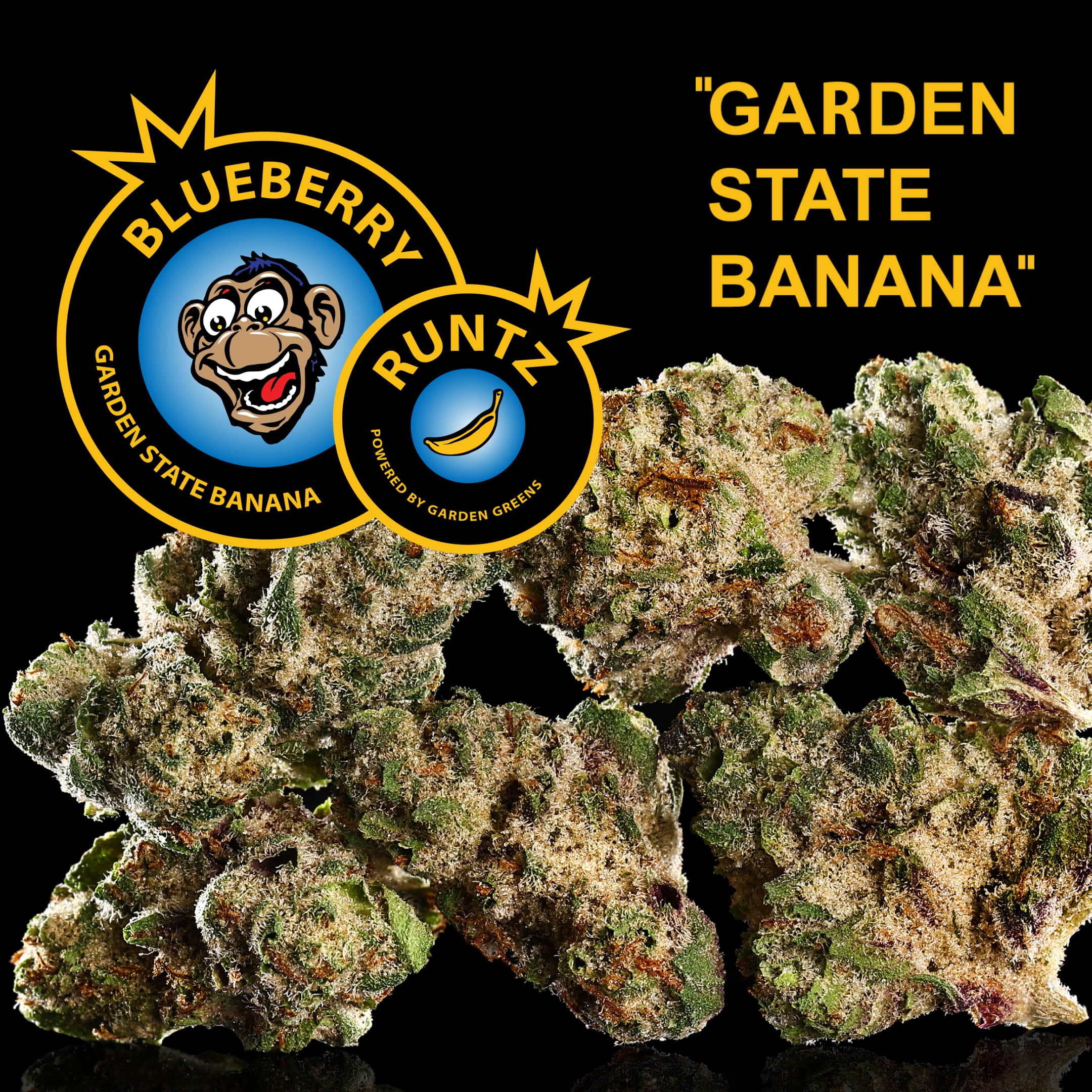 Photograph of product: Flower | Blueberry Runtz - 3.5g