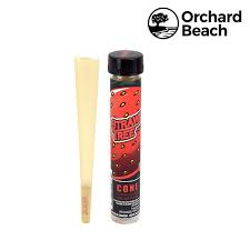 Photograph of product: Cones | 1pk | Strawberry Tree | Orchard Beach