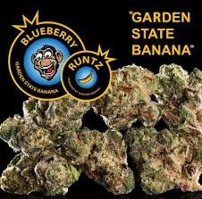 Photograph of product: Blueberry Runtz 1g Pre Roll-I