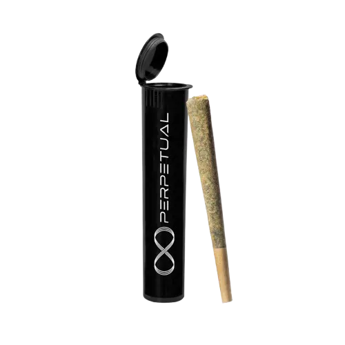 Photograph of product: Perpetual | Italian Apple #2 | Pre-Roll