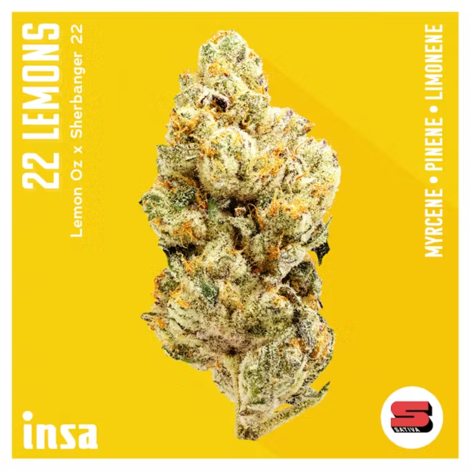 Photograph of product: 3.5g | 22 Lemons | INSA