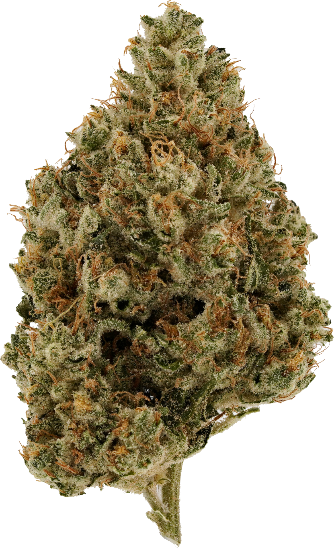 Photograph of product: Flower -  Frozen Lemons - 3.5g