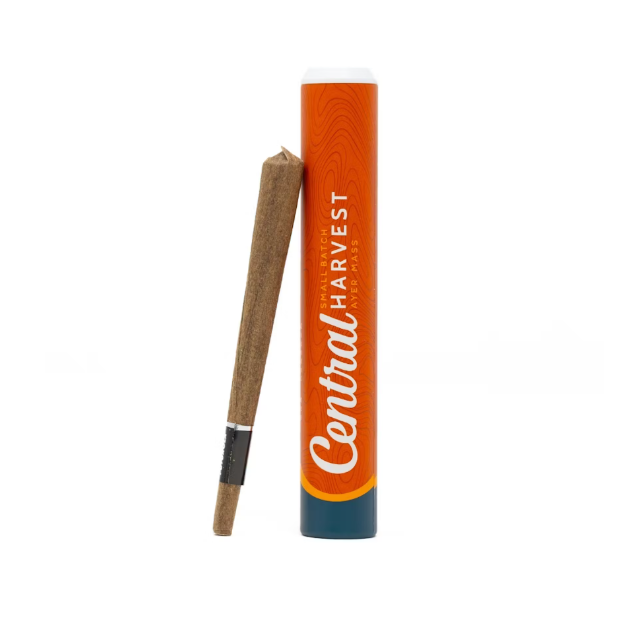 Photograph of product: Falcon 9 - Blunt 1g