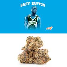 Photograph of product: Cookies: Gary Payton - 3.5g