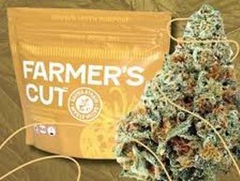 Photograph of product: Pink Lemonade Gelato - 14g