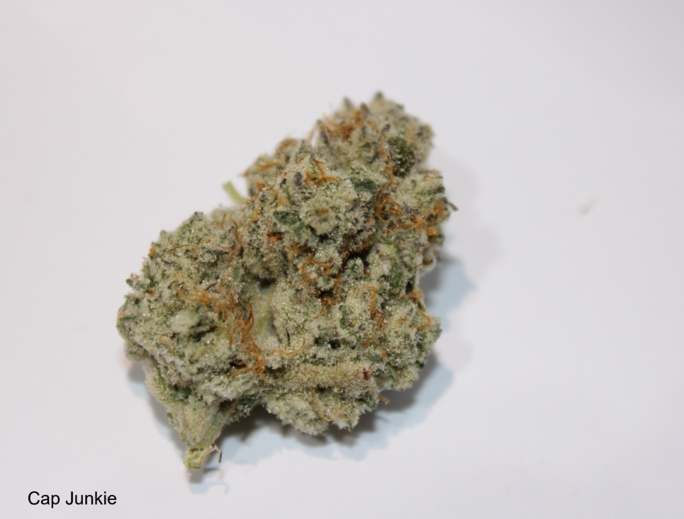 Photograph of product: Roemer Farms - Cap Junkie - Flower - 3.5g