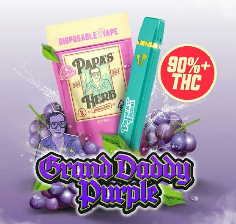 Photograph of product: Grand Daddy Purp | Disposable