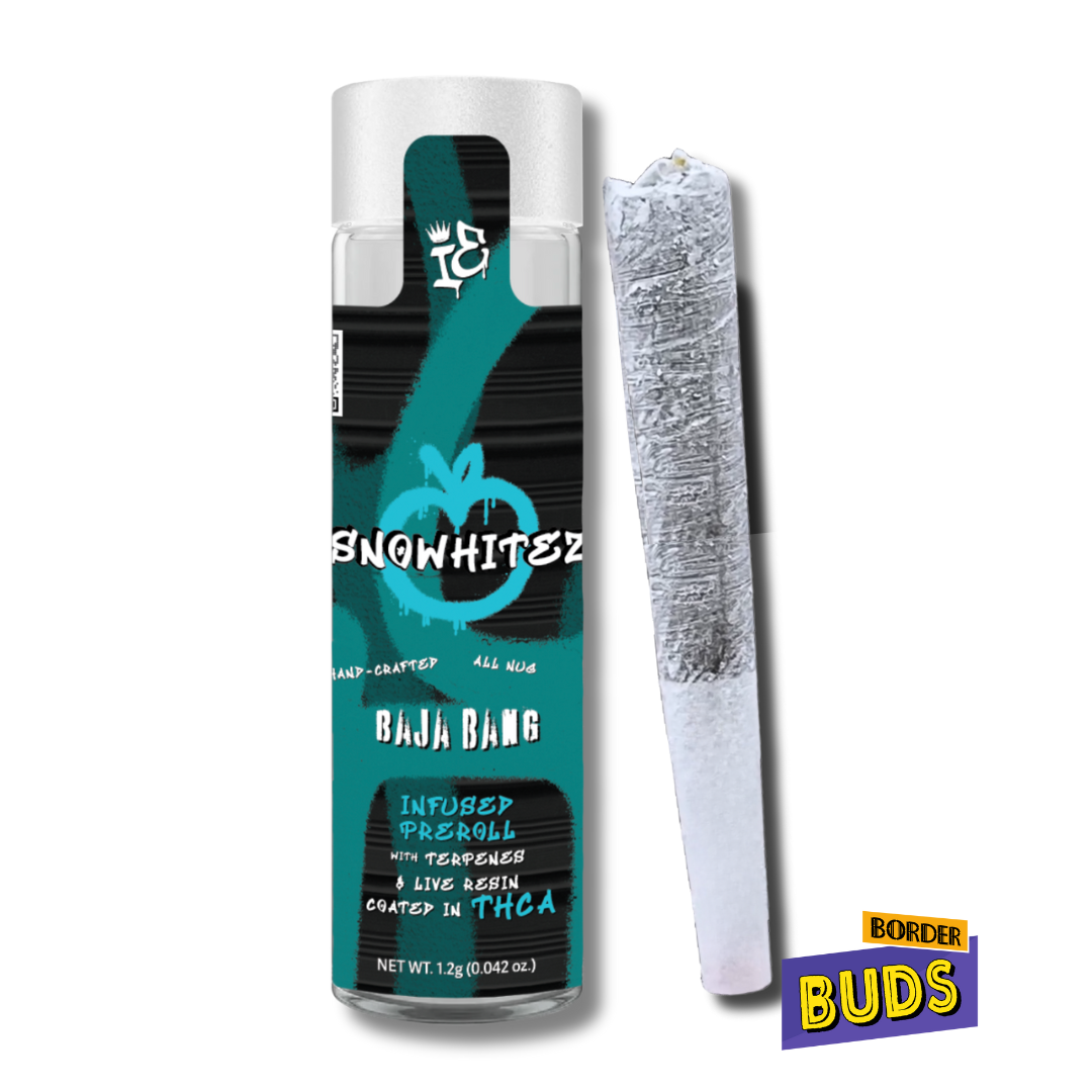 Photograph of product: Baja Bang | SnoWhitez | 1.2g | Infused Pre-Roll