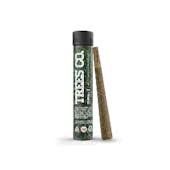 Photograph of product: Black Truffle | Pre-Roll 1pk | 1g