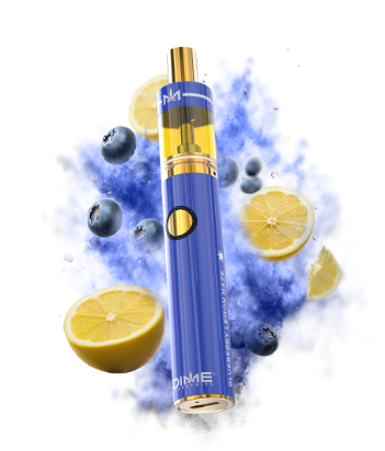 Photograph of product: Blueberry Lemon Haze Disposable Vape