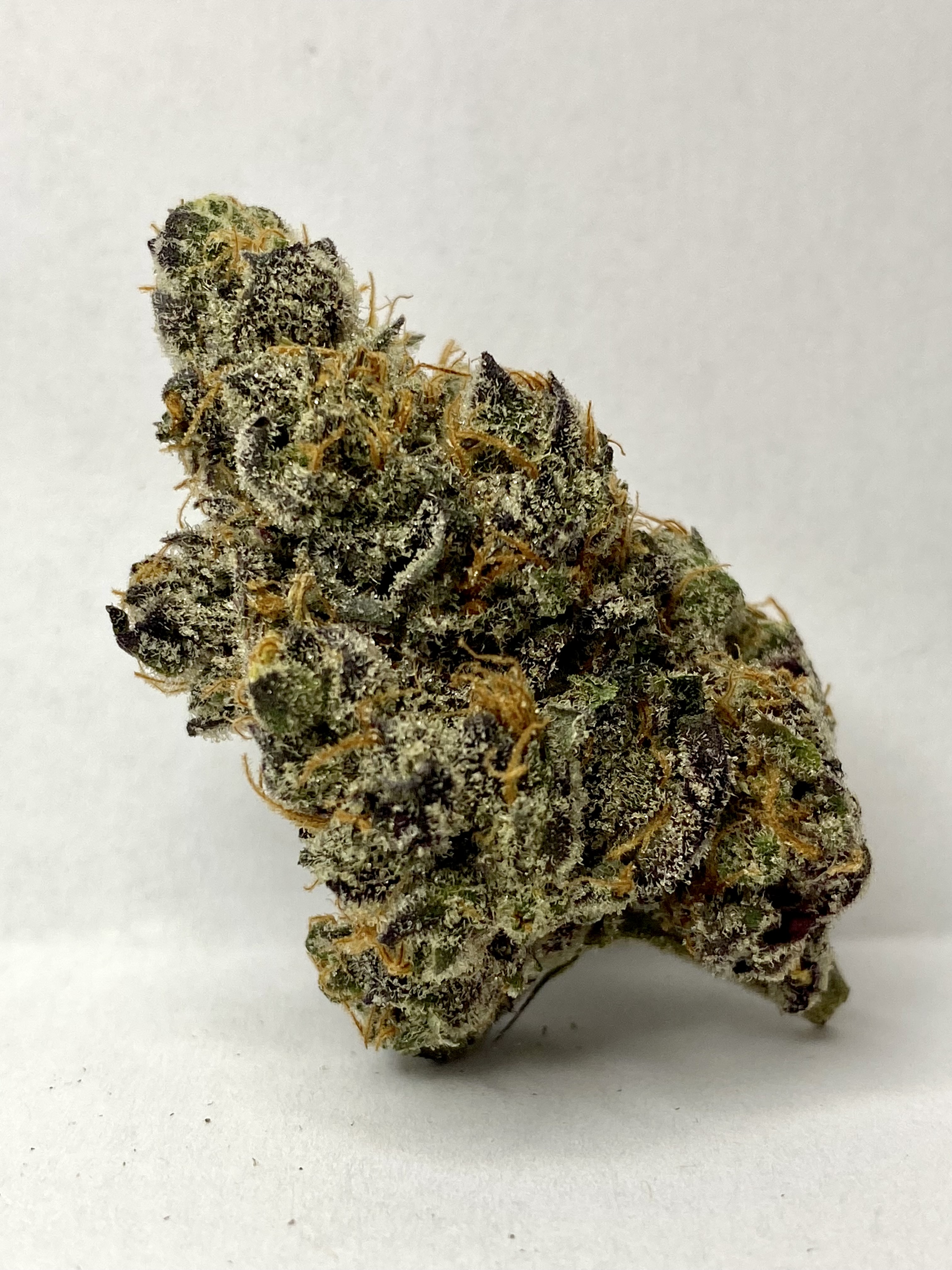 Photograph of Product: AppleFritter-|Hybrid|HRBD - 1g