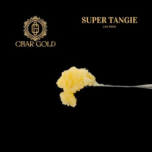 Photograph of product: Clear Gold - Super Tangie - 1g Live Resin