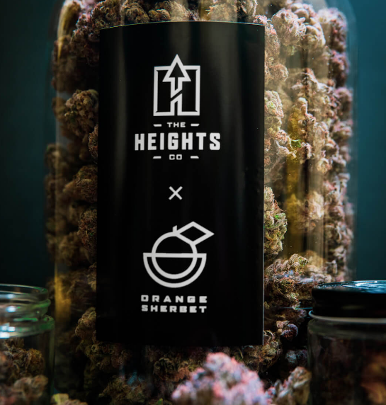 Photograph of product: The Heights | SWISS WATCH - 28g