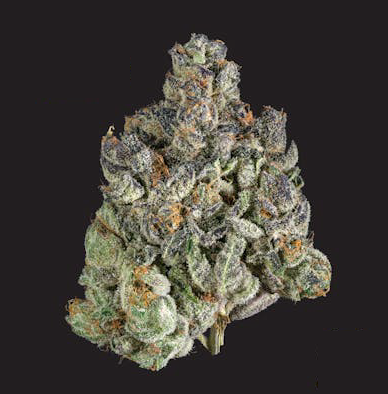 Photograph of product: High Hopes | Kine Garlic Cookies - 14g
