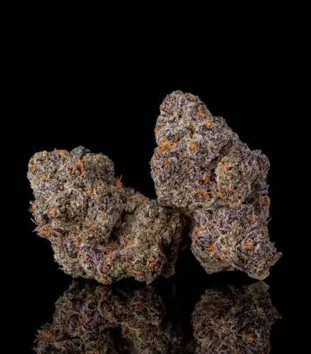 Photograph of product: Florette | Purple Animal | Premium Flower | 3.5g