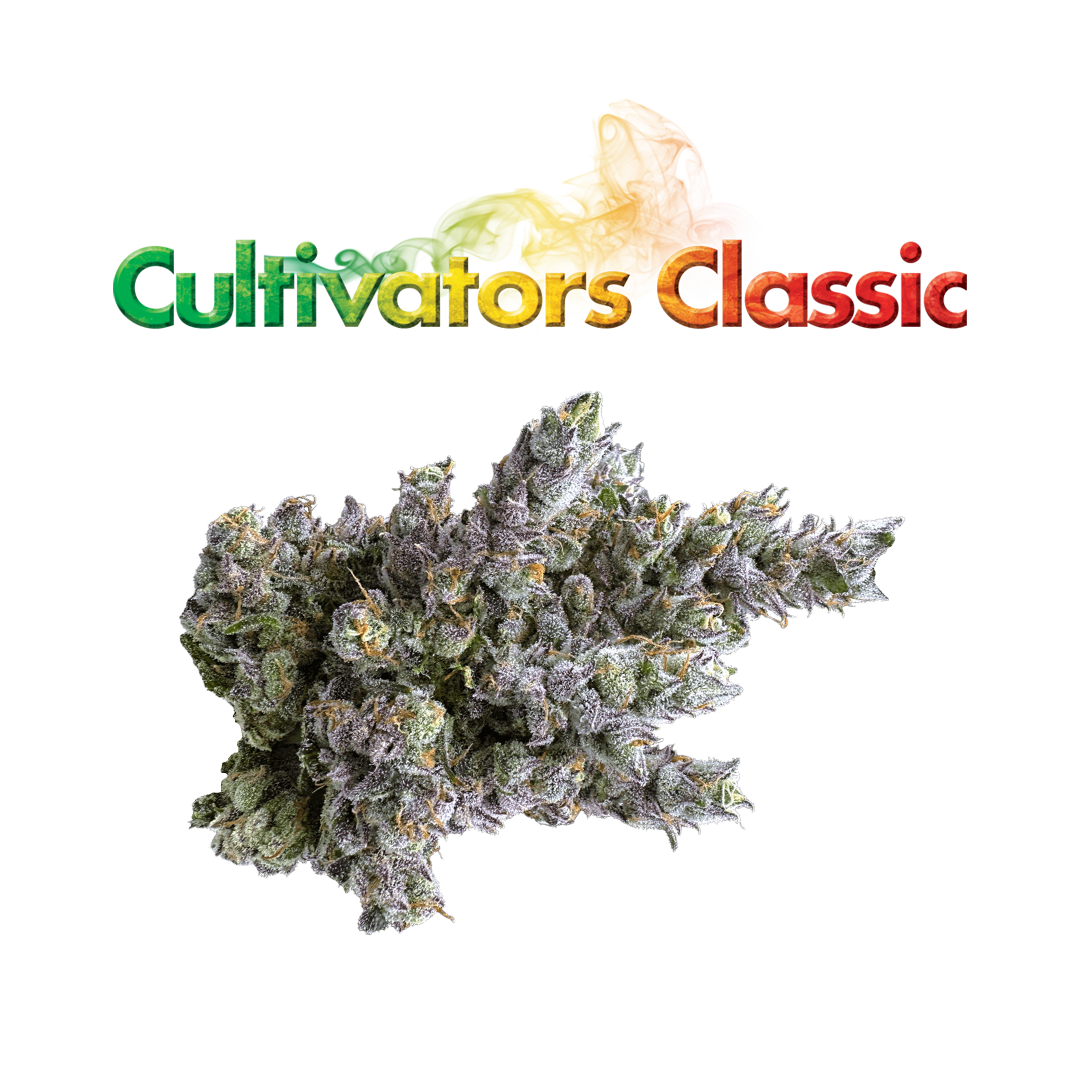 Photograph of product: Cultivators Classic | Purple Goddness Flower | 3.5g
