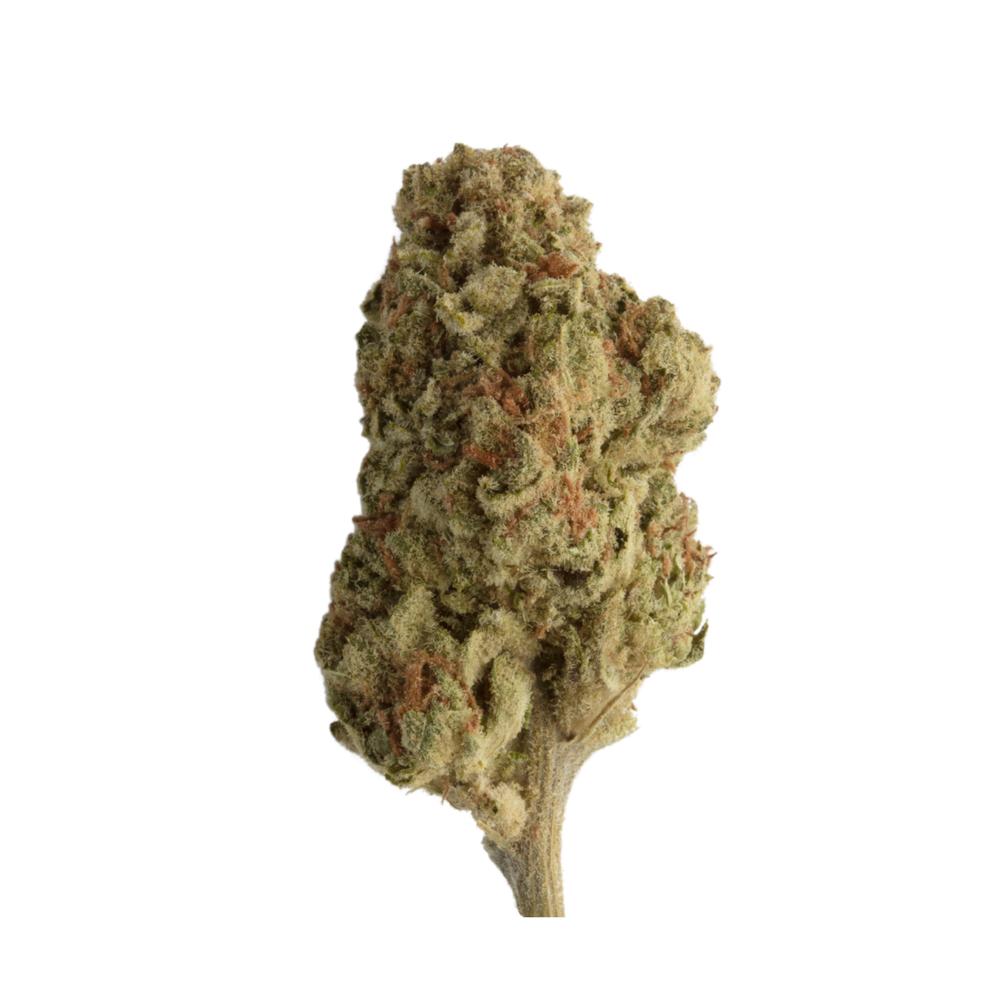 Photograph of product: Tahiti Blues Flower - 3.5g