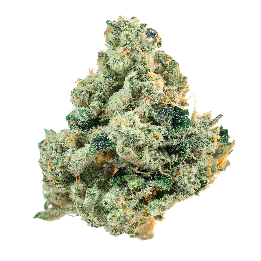 Photograph of product: ANIMAL FACE 3.5G