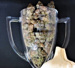 Photograph of product: Garlic Reaper | Flower - 