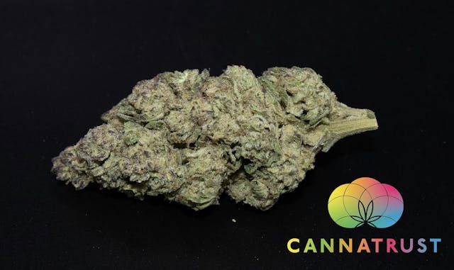 Photograph of product: Gush Mints Flower Oui'd Hybrid 3.5G - 