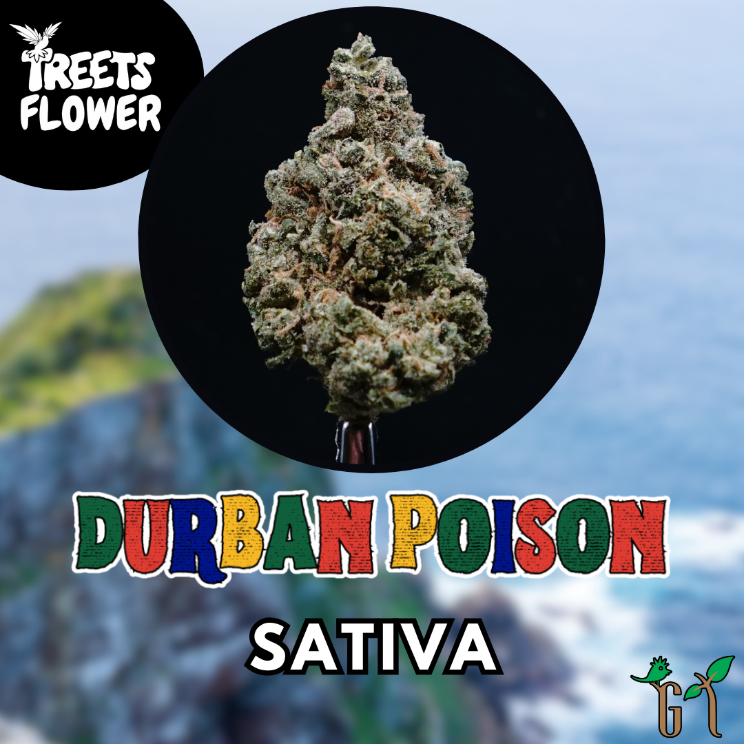 Photograph of product: Flower - Durban Poison - Top Shelf - 28g