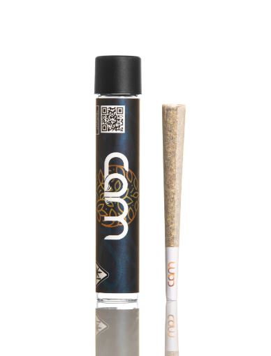 Photograph of product: CAM Preroll Kush Mints 1G