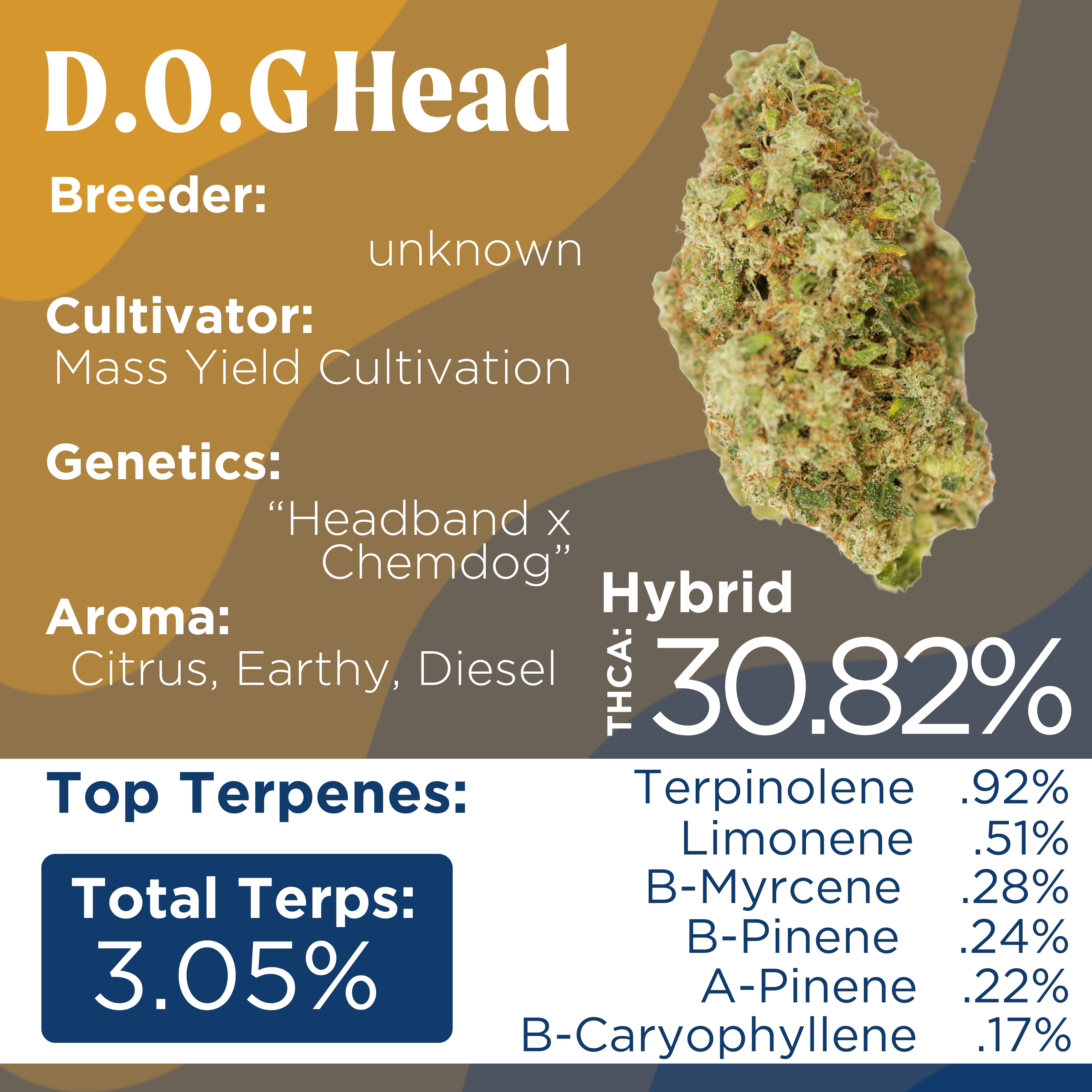 Photograph of product: Deli Style | D.O.G Head - Hybrid - 1g