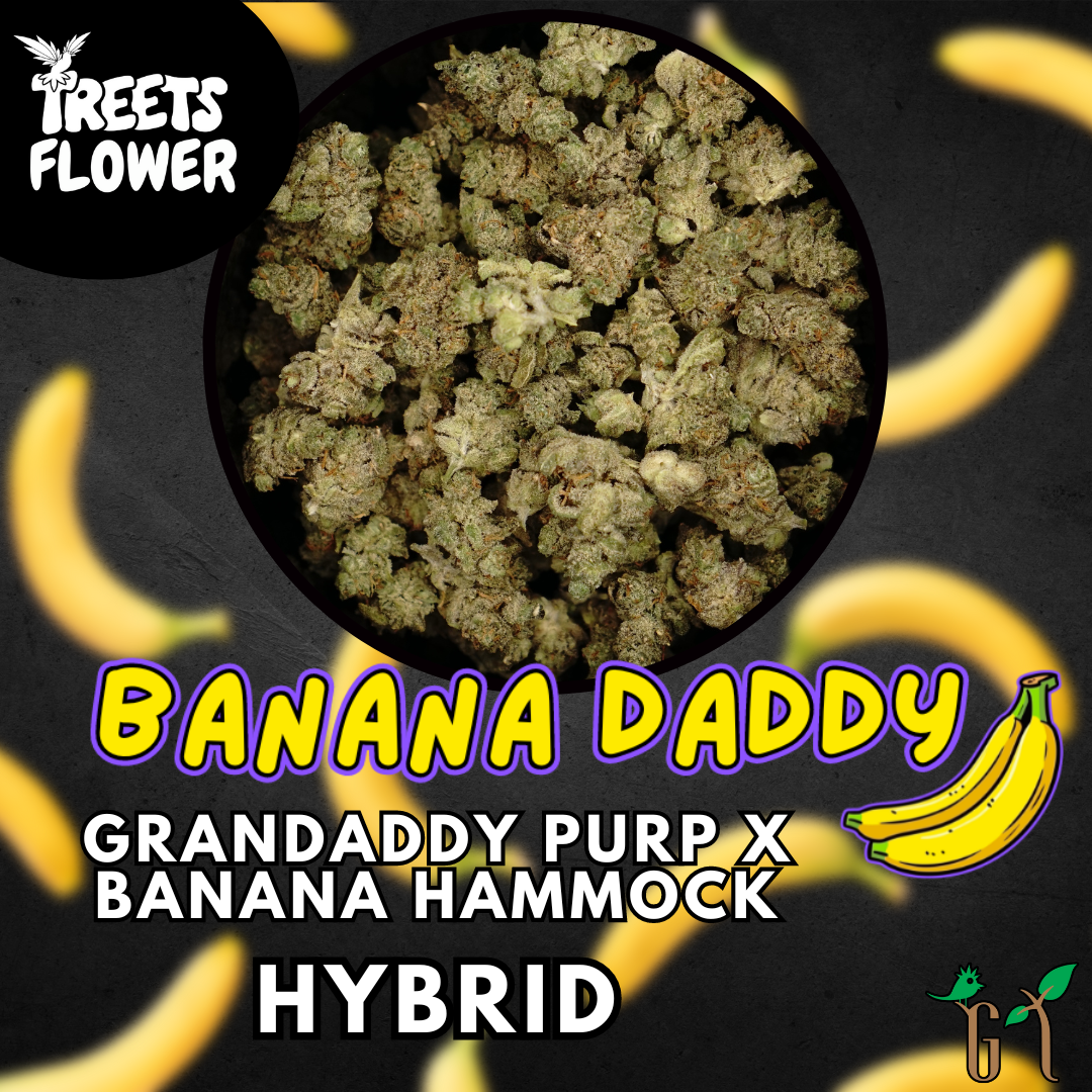 Photograph of product: Flower - Banana Daddy - Special Tier - 28g